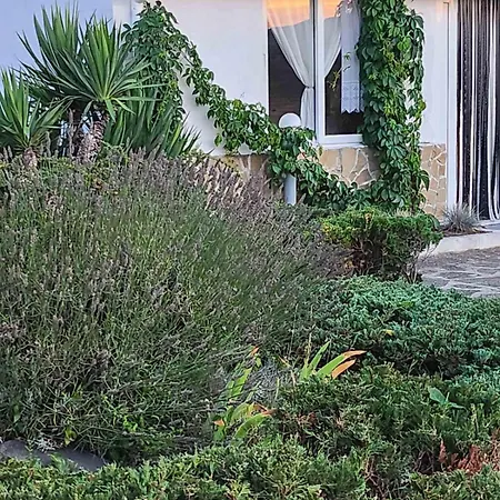 Semesterbostad Maria