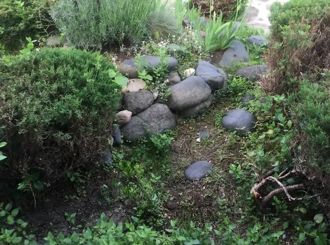 Semesterbostad Maria *