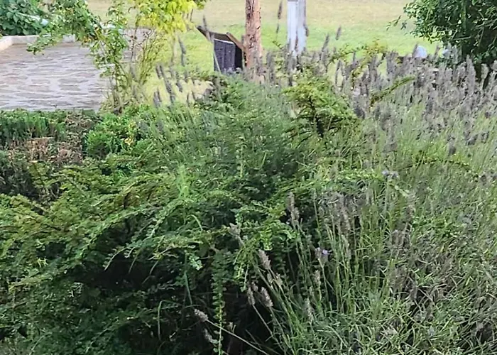 Nyaraló Maria Ahtopol